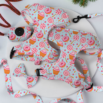 kupować XS Dog Harness And Leash Set Sublimacja Dekoracja Szarf Cat Harness Set produkcja online