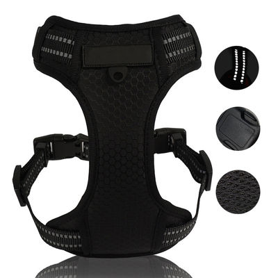 kupować Neoprene Harness Uaktualnij garderobę z tym zestawem krawatów i bandan produkcja online