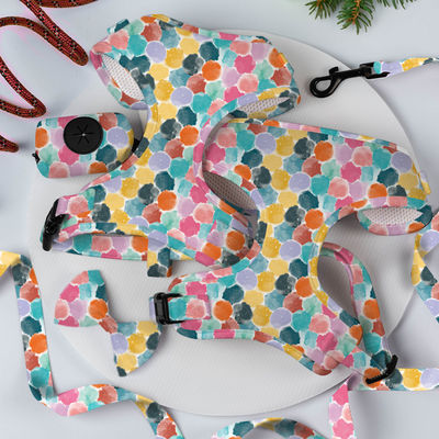 kupować XS S M L XL Puppy Harness And Leash Set Air Mesh Soft Neoprene Collar And Lead Set produkcja online