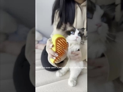 Szczotka do pielęgnacji zwierząt domowych Szczotka do usuwania włosów dla psów i kotów Szczotka naładowana Przenośny spray parowy