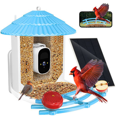 IP66 wodoodporny 4MP Smart Bird Feeder 2.5L Wildlife Smart Bird Camera