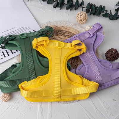 Neopren spersonalizowany za pomocą pasa i kołnierza dla psów domowych