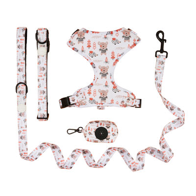 Personalized Cute Dog Collar Lead Set XL Dog Leads dla dużych psów