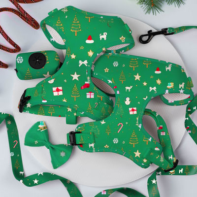 Popularny, spersonalizowany projektant, luksusowy, bez wyciągania, regulowany obrożnik, smycz, krawat i bandana, odwracalny zestaw pasów dla psów.