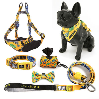Psy Polyester Custom Sublimation Blank Personalized Pet Collar and Leash Harness Set Custom Logo Letnie wzory psów