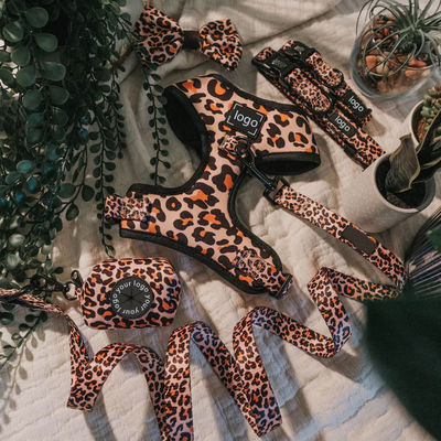 Zestaw kamizelki dla psów bez wyciągania Neoprene Mesh Harness Leash Collar Print Pattern Customized Logo