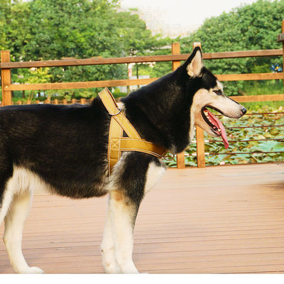 OEM Odm Custom Dog Accessories Leash And Harness Collar Taktyczny projektant Custom Safety Pet Dog Harness Set Dog Pet Harness