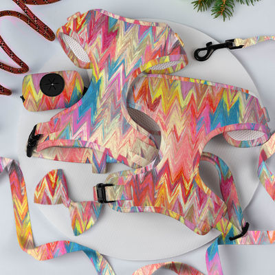 Neopren Custom Color Dog Harness Set z luksusowymi projektantami
