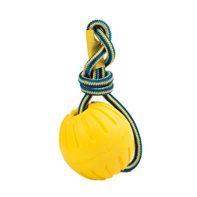 Nazwa